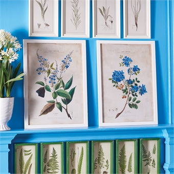 Napa Home & Garden Yellow Flower Prints - Set of 4