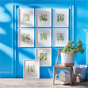 Napa Home & Garden Wildflower Prints - Set of 8