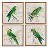 Napa Home & Garden Green Parrots Study - Set of 4