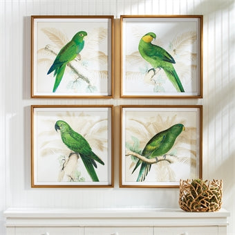 Napa Home & Garden Green Parrots Study - Set of 4