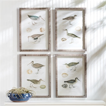 Napa Home & Garden Coastal Birds Study - Set of 4