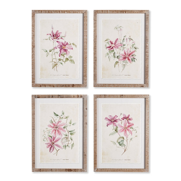 Napa Home & Garden Pink Clematis Prints - Set of 4