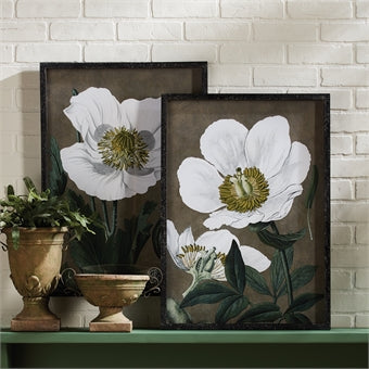 Napa Home & Garden Poppy Prints - Set of 2