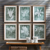 Napa Home & Garden Translucent Floral Prints - Set of 6