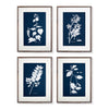 Napa Home & Garden Cyano Botanical Leaf Study - Set of 4