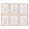 Napa Home & Garden Botanicals in Blush Prints - Set of 6