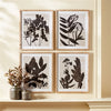 Napa Home & Garden Pressed Foliage Prints - Set of 4