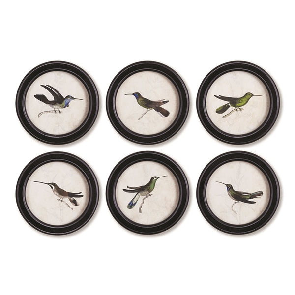 Napa Home & Garden Hummingbird Round Petite Prints - Set of 6