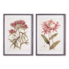 Napa Home & Garden Pretty in Pink Vintage Prints - Set of 2