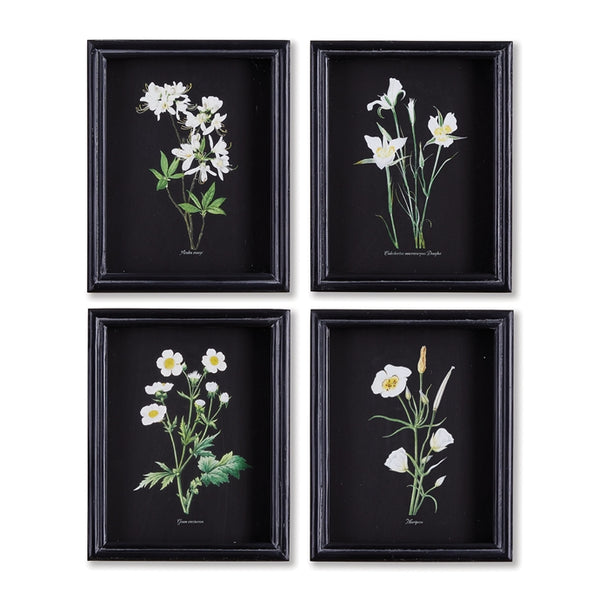 Napa Home & Garden Perennial Petite Prints - Set of 4