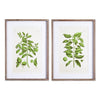 Napa Home & Garden Guava Prints - Set of 2