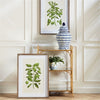 Napa Home & Garden Guava Prints - Set of 2