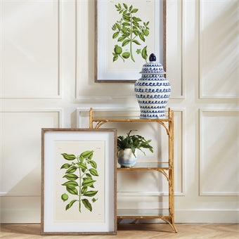 Napa Home & Garden Guava Prints - Set of 2