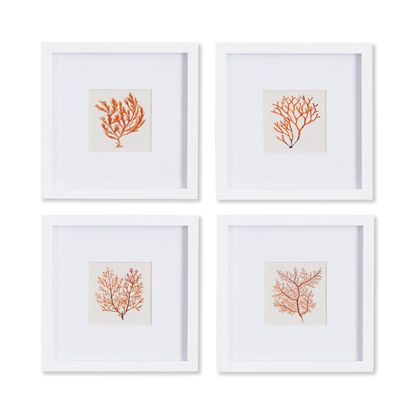Napa Home & Garden Branch Coral Petite Prints - Set of 4