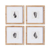Napa Home & Garden Seashell Petite Prints - Set of 4