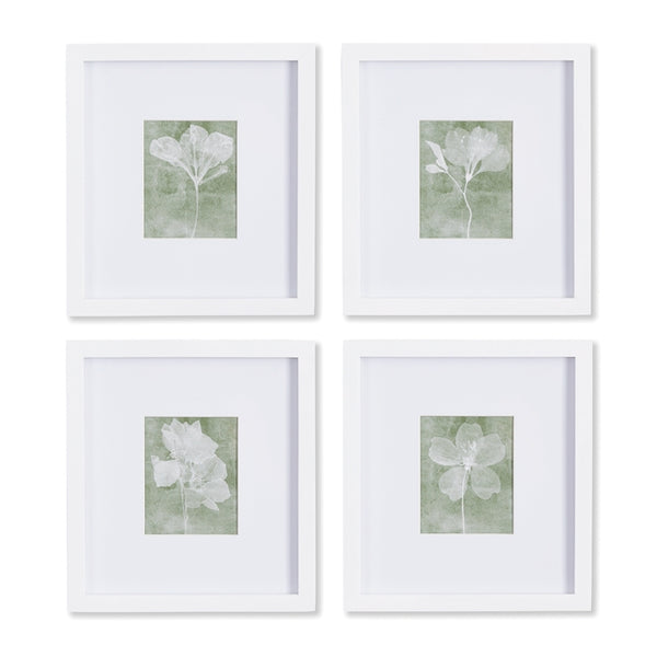 Napa Home & Garden Translucent Floral Petite Prints - Set of 4