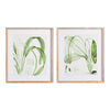 Napa Home & Garden Aquatic Leaf Prints - Set of 2