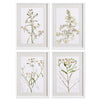 Napa Home & Garden Daisy Prints - Set of 4