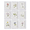 Napa Home & Garden Garden Meadow Study - Set of 9