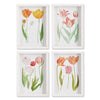 Napa Home & Garden Tulips Prints - Set of 4