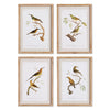 Napa Home & Garden Sunbird Study - Set of 4