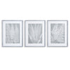 Napa Home & Garden Fern Frond Prints - Set of 3