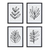 Napa Home & Garden Leaf Prints - Set of 4