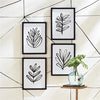 Napa Home & Garden Leaf Prints - Set of 4