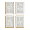 Napa Home & Garden Foliage Study - Set of 4