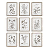 Napa Home & Garden Rustic Foliage Study - Set of 9