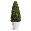 Napa Home & Garden Boxwood Cone Topiary in Pot