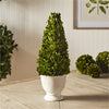 Napa Home & Garden Boxwood Cone Topiary in Pot