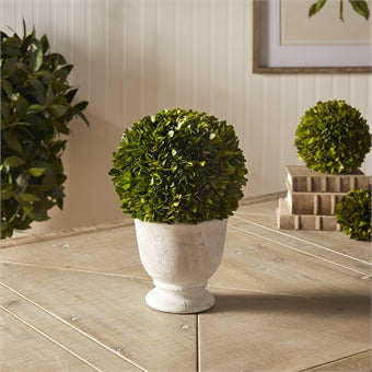 Napa Home & Garden Boxwood Ball Topiary in Pot