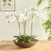 Napa Home & Garden Muron Decorative Bowl