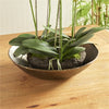 Napa Home & Garden Muron Decorative Bowl