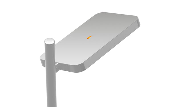 Pablo Talia Table Lamp