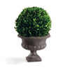 Napa Home & Garden Boxwood Ball in Urn