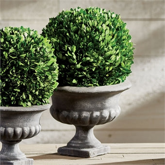 Napa Home & Garden Boxwood Ball In Urn