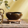 Napa Home & Garden Antiquities Decorative Bowl