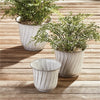 Napa Home & Garden Leilani Pots - Set of 3