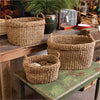 Napa Home & Garden Seagrass Oval Baskets - Set of 3