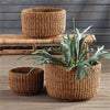 Napa Home & Garden Seagrass Cylindrical Baskets - Set of 3