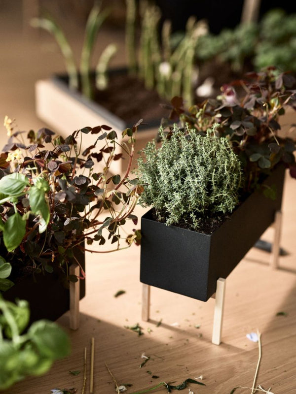 Design House Stockholm Botanic Stand