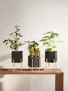 Design House Stockholm Botanic Pedestal Pot
