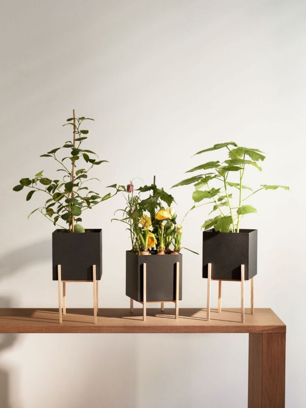 Design House Stockholm Botanic Pot