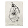 Sir Madam Pure Linen Tea Towel - Oyster Anatomy