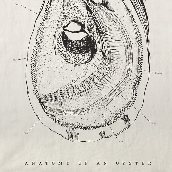 Sir Madam Pure Linen Tea Towel - Oyster Anatomy