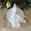 Huddleson Linen Tablecloth - Oval