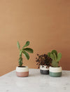 Rig-Tig Plant-It Flowerpot