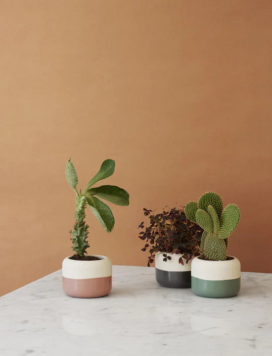 Rig-Tig Plant-It Flowerpot